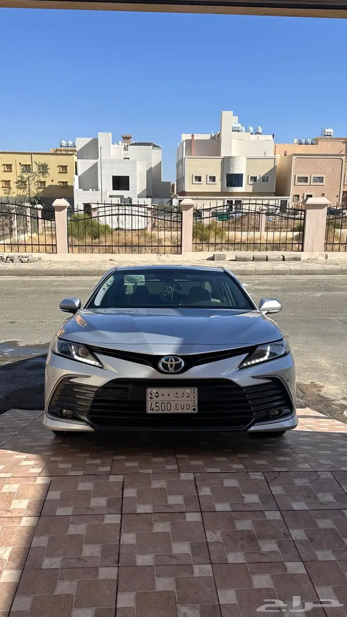 لوحه مميزه للبيع 0