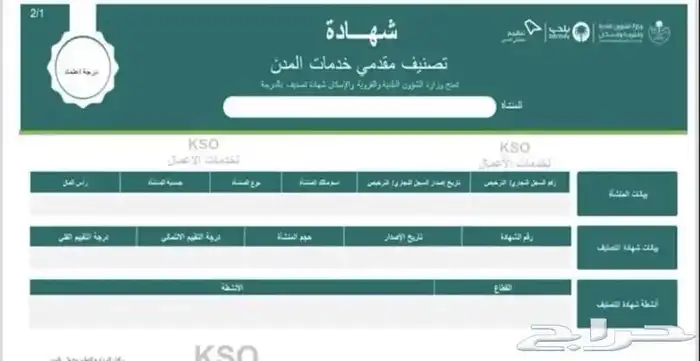 تصنيف الموسسات و قوائم ماليه ( الدفع بعد الانجاز) 0