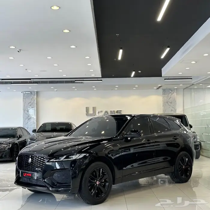 جاكور اف بيس 2021 1