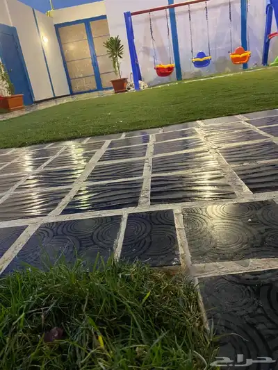شاليهات عرض بكره الخميس 0