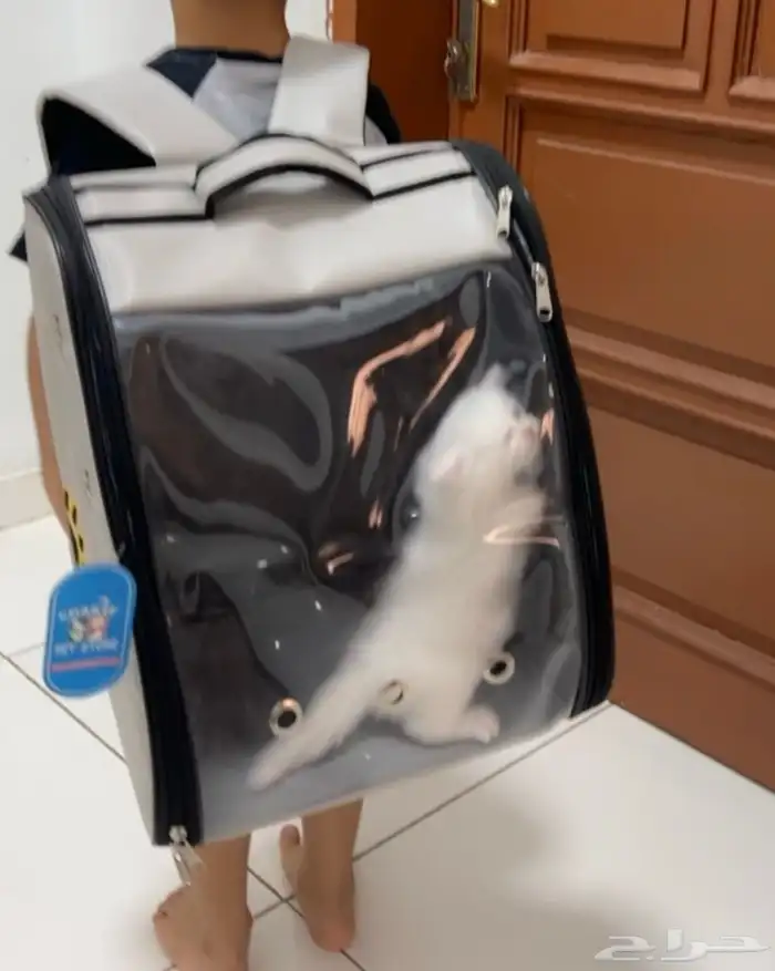 حقيبة ظهر للحيوانات قطط كلاب 2