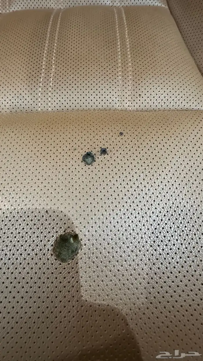 مقعد الراكب لشانجان CS95 اعلى مواصفات 6