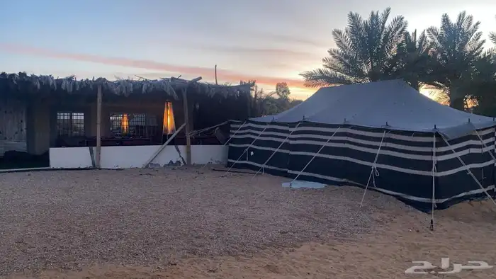مخيم متكامل الخدمات مع استراحه داخل مزرعه للايجار اليومي 9