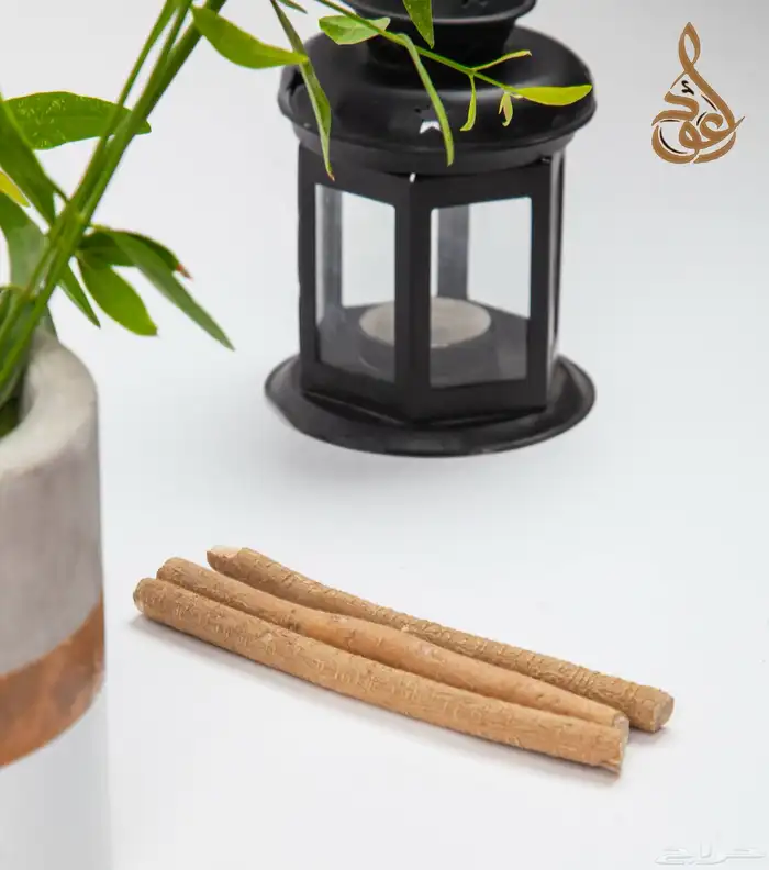 مصور منتجات 5