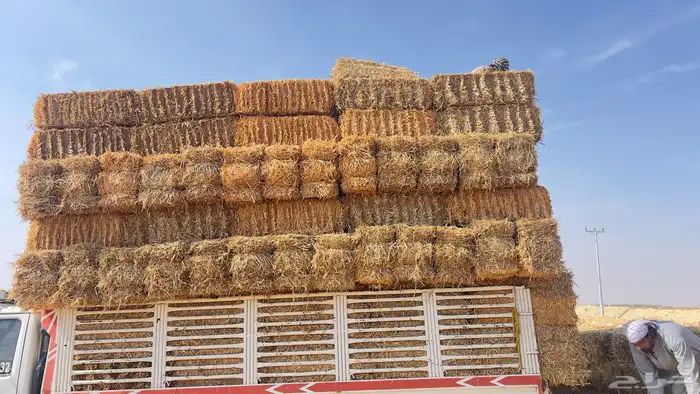 تبن بر شد متر 2
