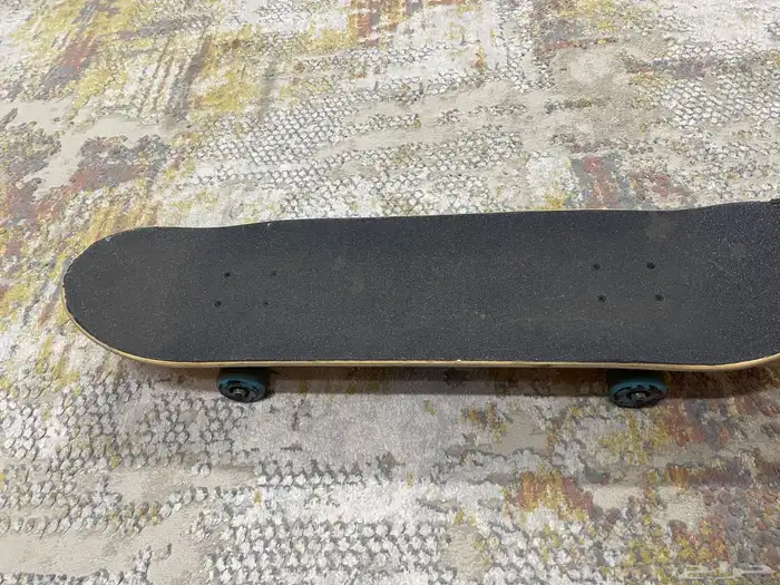Santa Cruz Skate Board 1