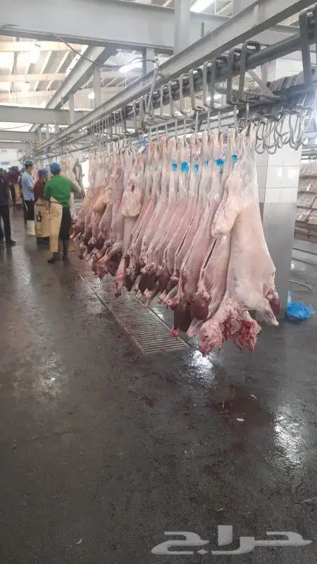 ذبايح وأغنام أبوأحمد 27