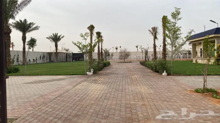 إيواء وغرف خيل للإيجار الشهري استراحة للإيجار اليومي 1