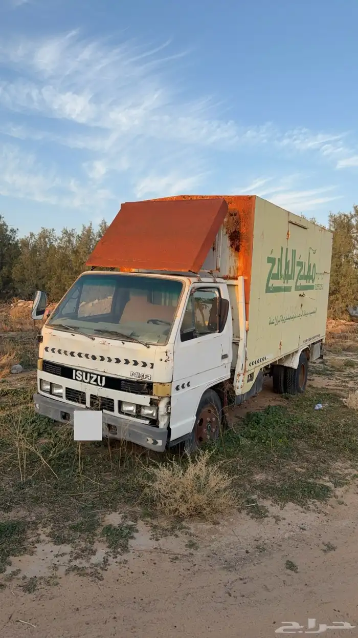 دينا مسقطه 3
