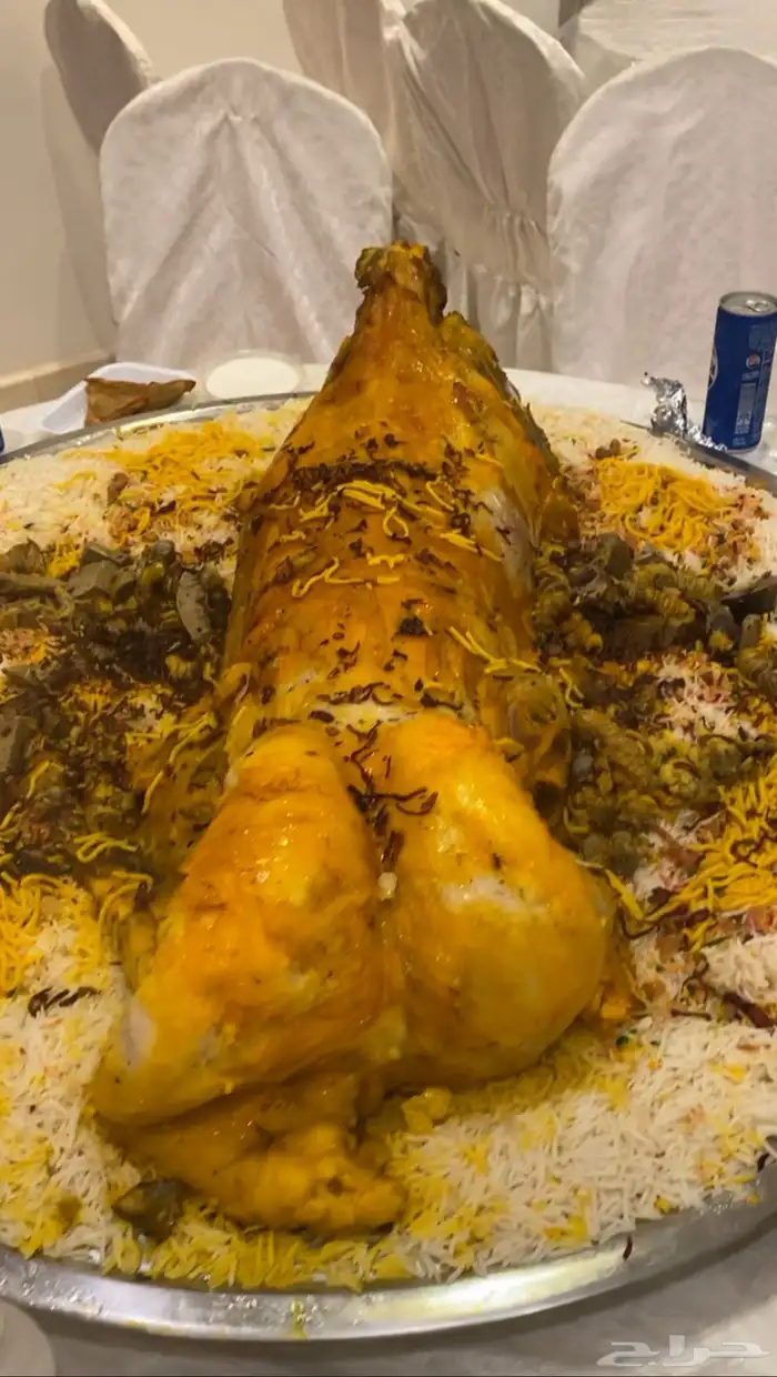 اللي يدور الذبائح بلدي مراح نظيفة تربية شايب 6