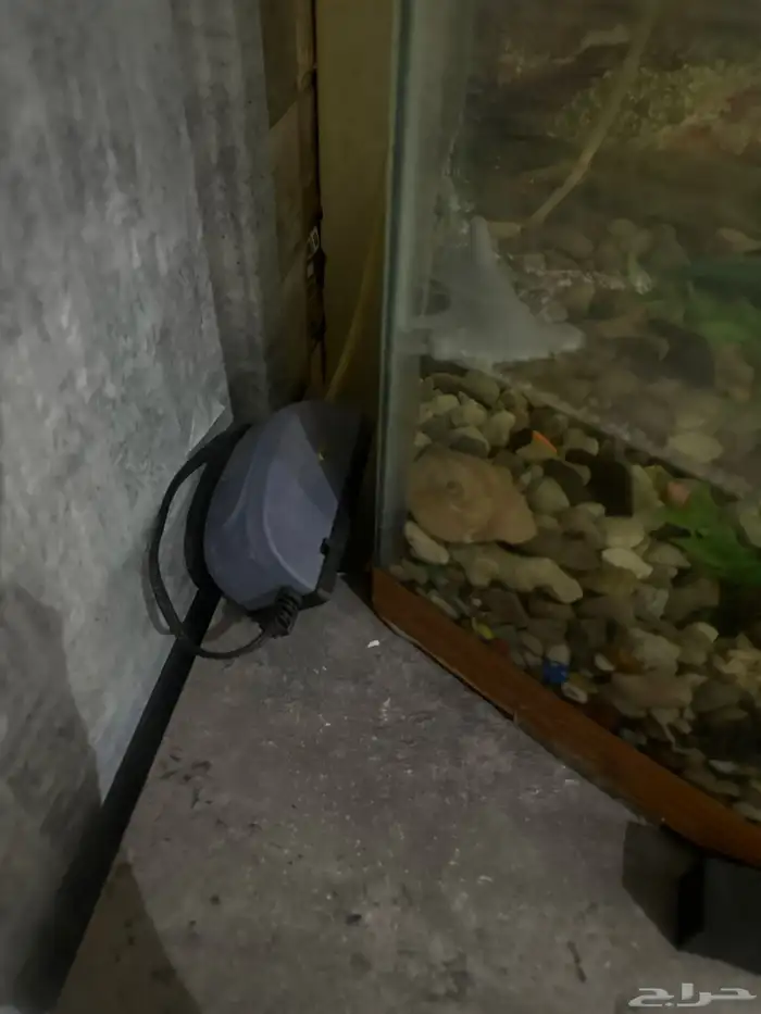 حوض سمك مستورد من الاردن تفصيل 3