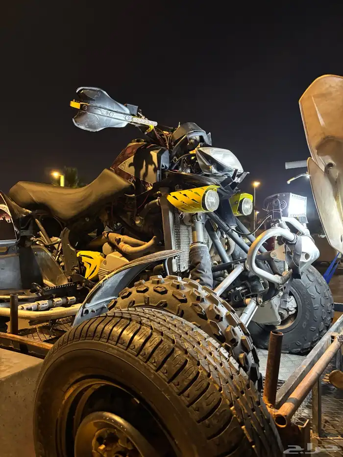 Canam DS650 4