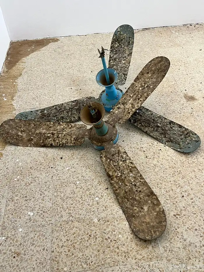 سكراب 4