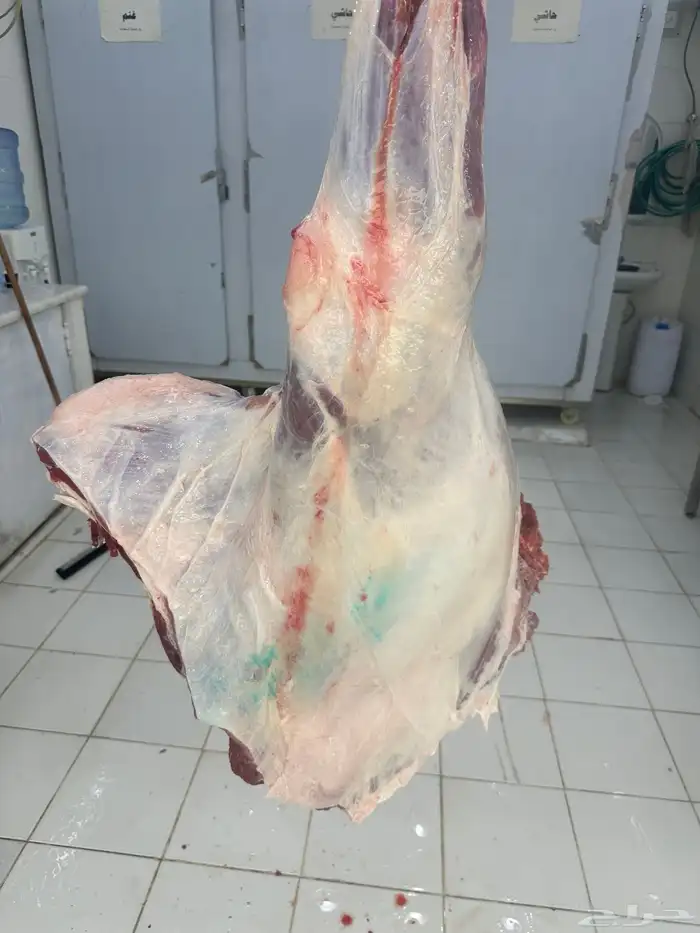 ملحمة نوادر الجزيرة للحوم الطازجة 88