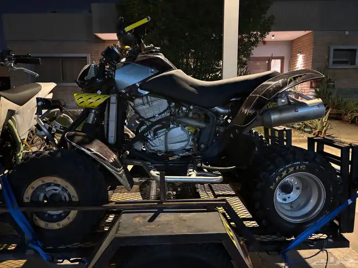 Canam DS650 5