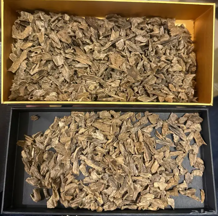 عود هندي كودي موري ملكي 0