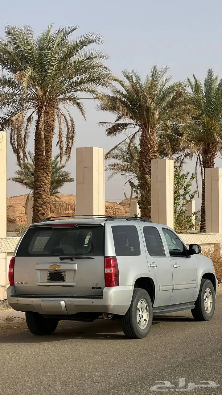 تاهو 2013 1