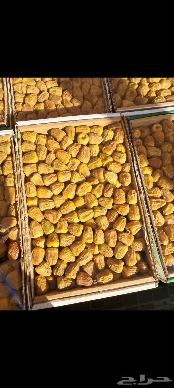 سكري مفتل 1
