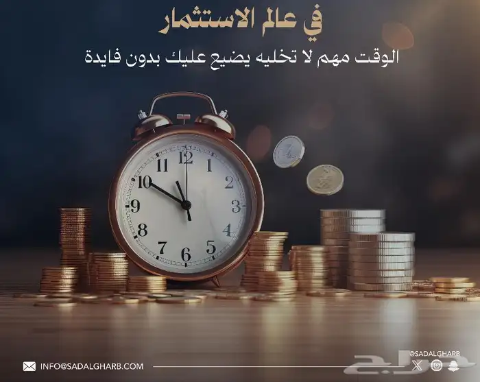 استثمار مضمون.. وأرباح مدهشة 12