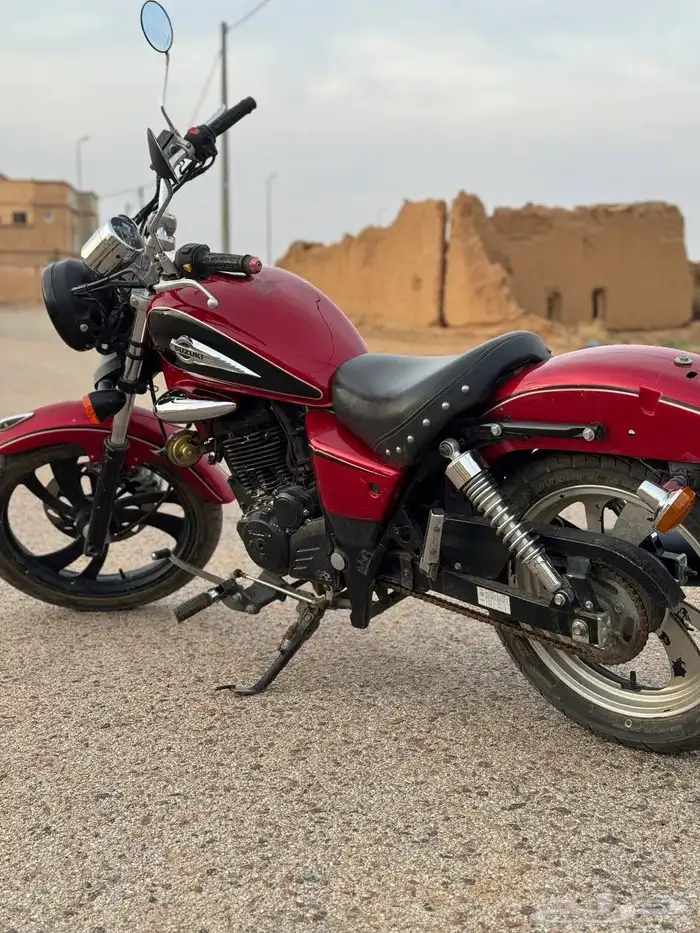 دباب 12