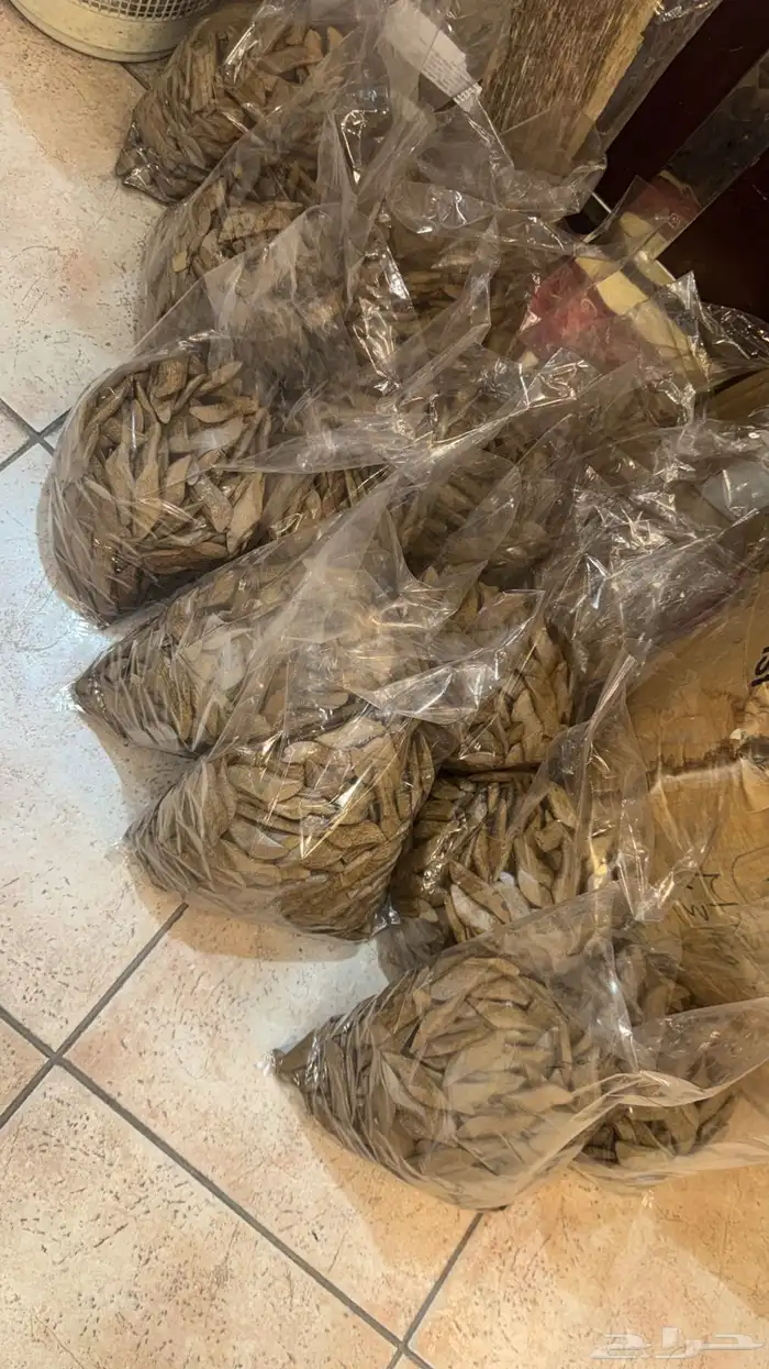 نوفر جميع العطور باشكالها وانواعها وباقل الاسعار عطور جملة 10