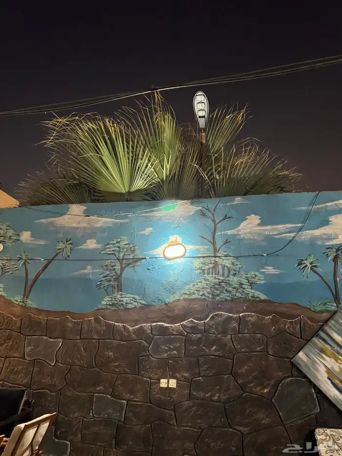 الرياض حي العوالي شارع علي بن شيبان قدام صيدليه اورانج 7