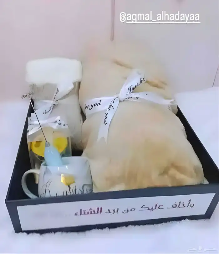 بوكسات شتوية من أجمل الهدايا بتبوك 4