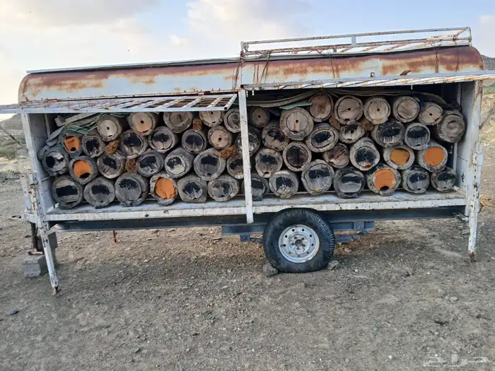 عربيه بلدي نحل 6