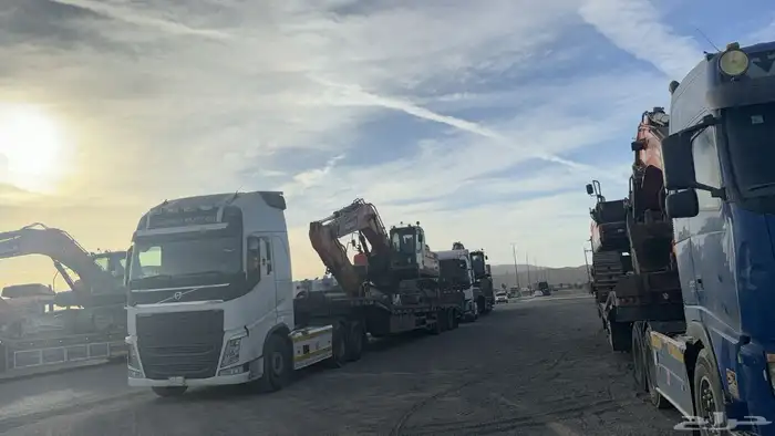 لوبد في شرما 0