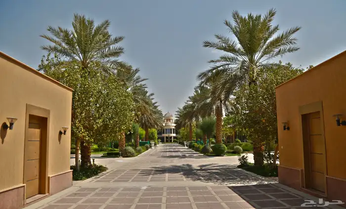تصوير فيديو وفوتو ودرون 11