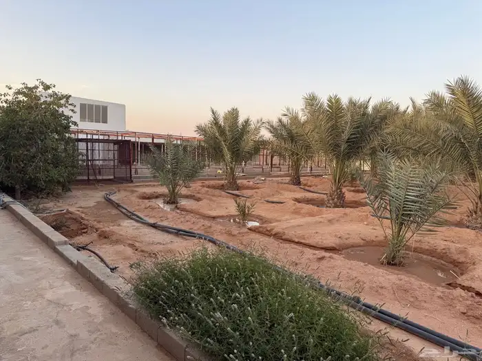 للايجار استراحه بعد قصر بن عقيل 3