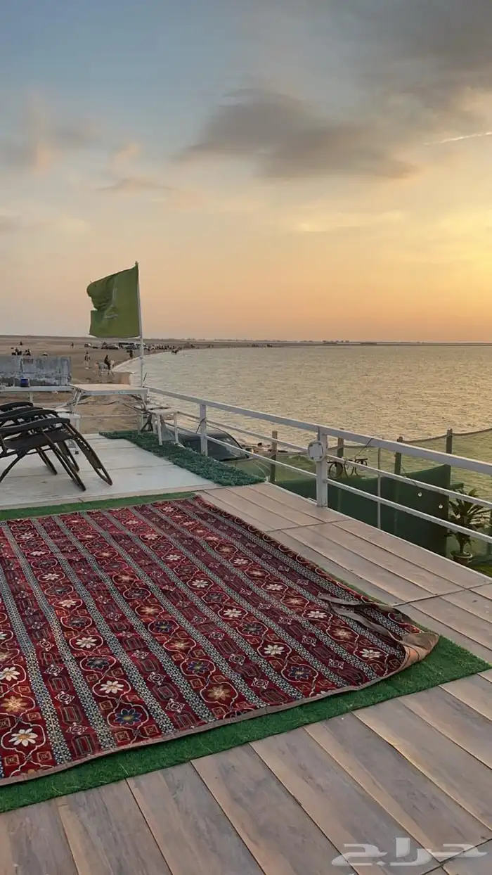 كرفان العز شاطي الخيول ذهبان 8