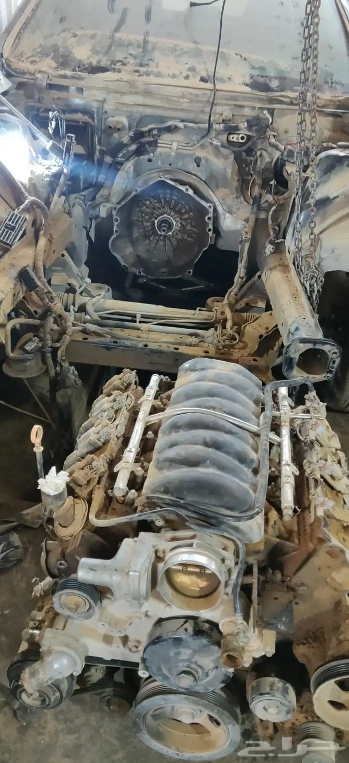قطع كابرس رويال 2009 11