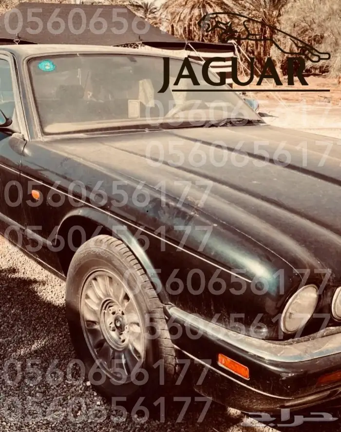 Classic Cars Prof. Extnsv. Inspection In YR Loct. (Riyadh) 18