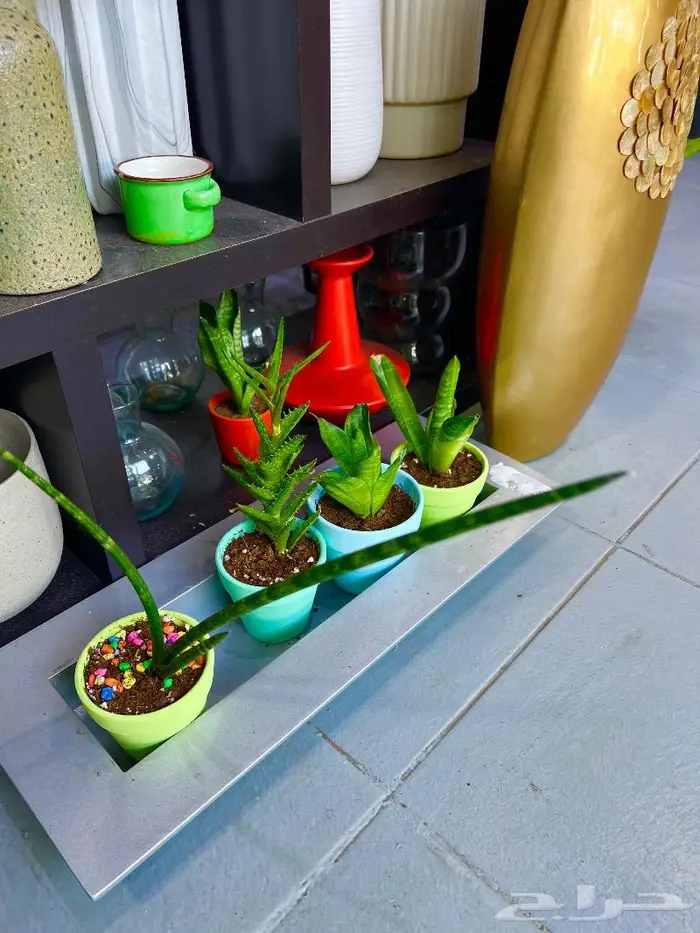 المنطقة الشرقية 27