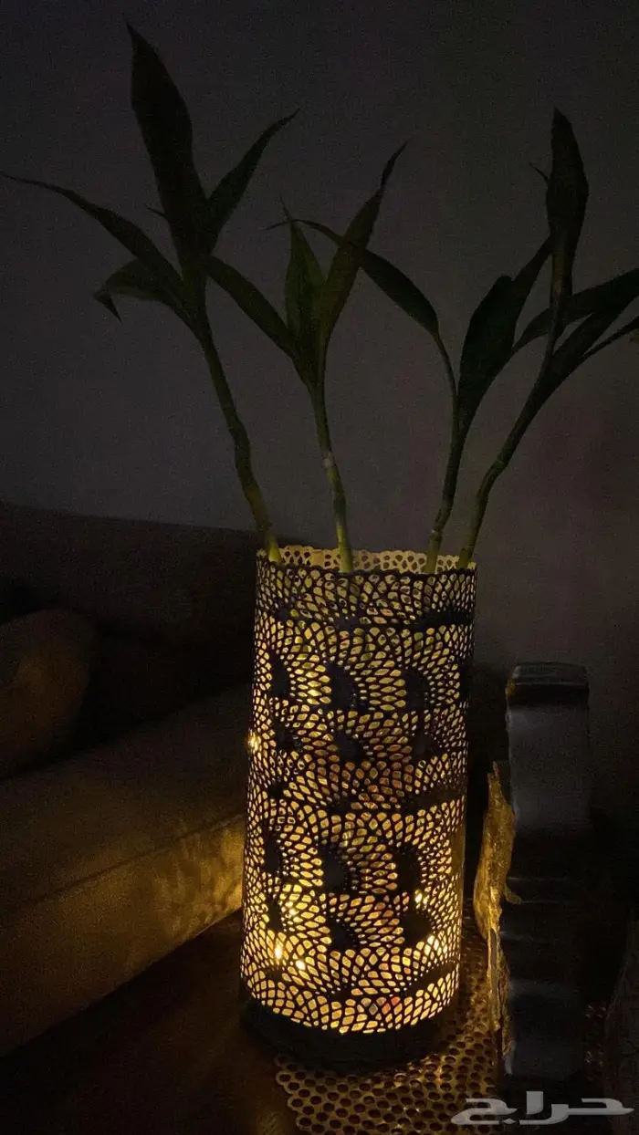 المنطقة الشرقية 22