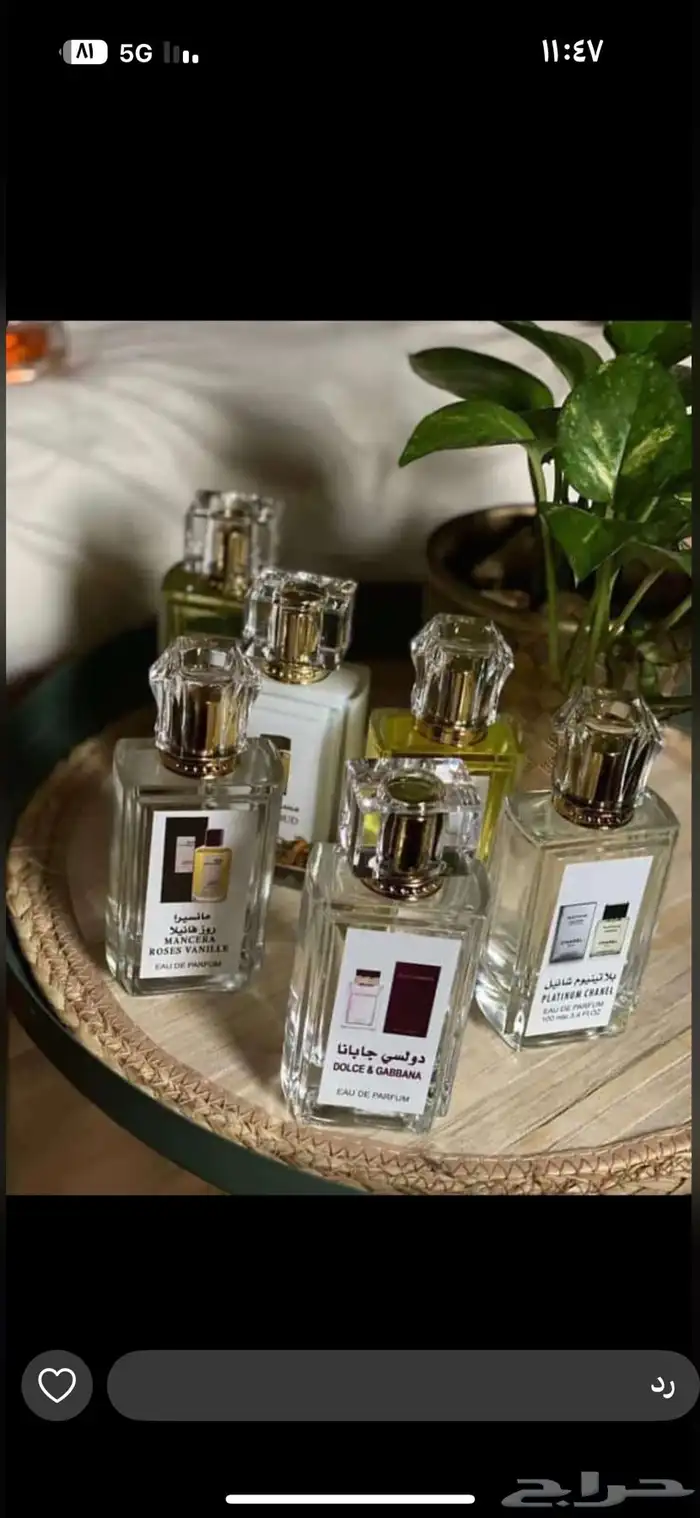 نوفر جميع العطور باشكالها وانواعها وباقل الاسعار عطور جملة 91