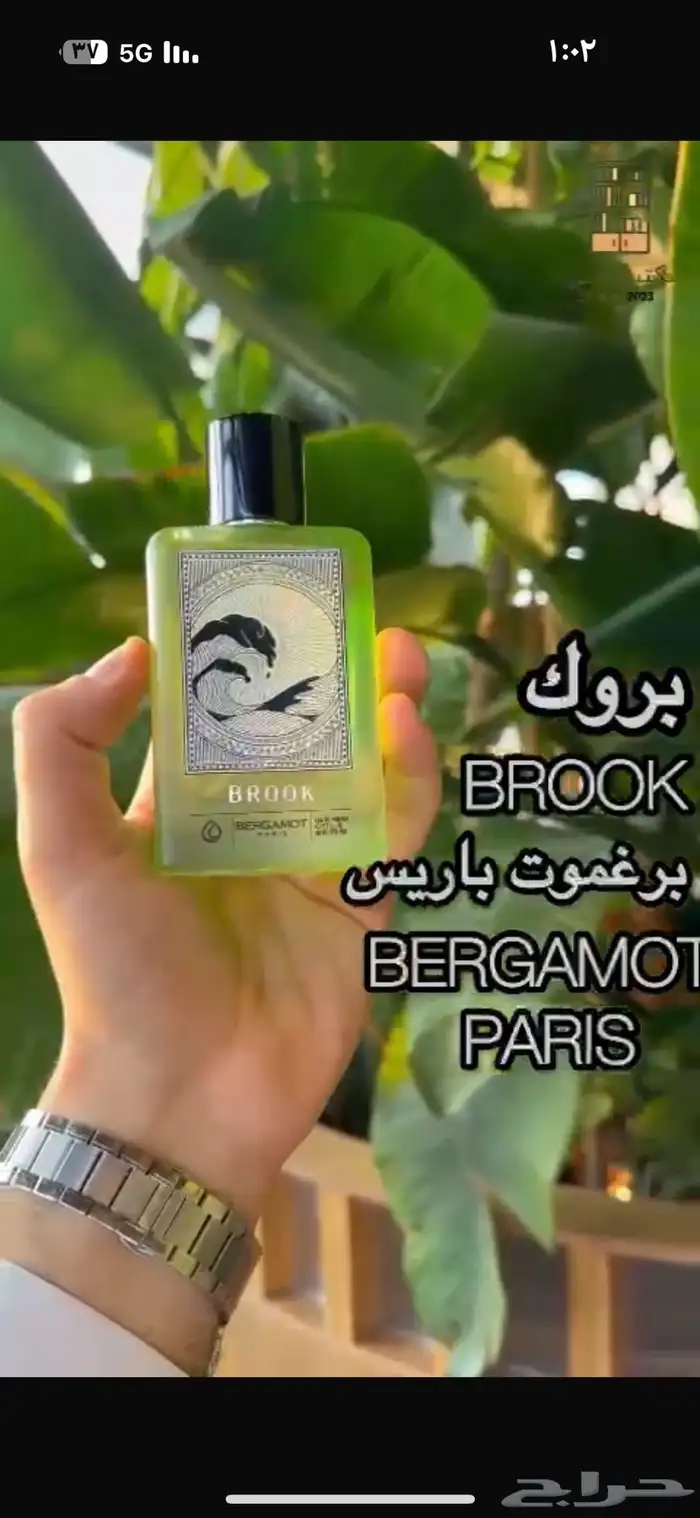 نوفر جميع العطور باشكالها وانواعها وباقل الاسعار عطور جملة 3