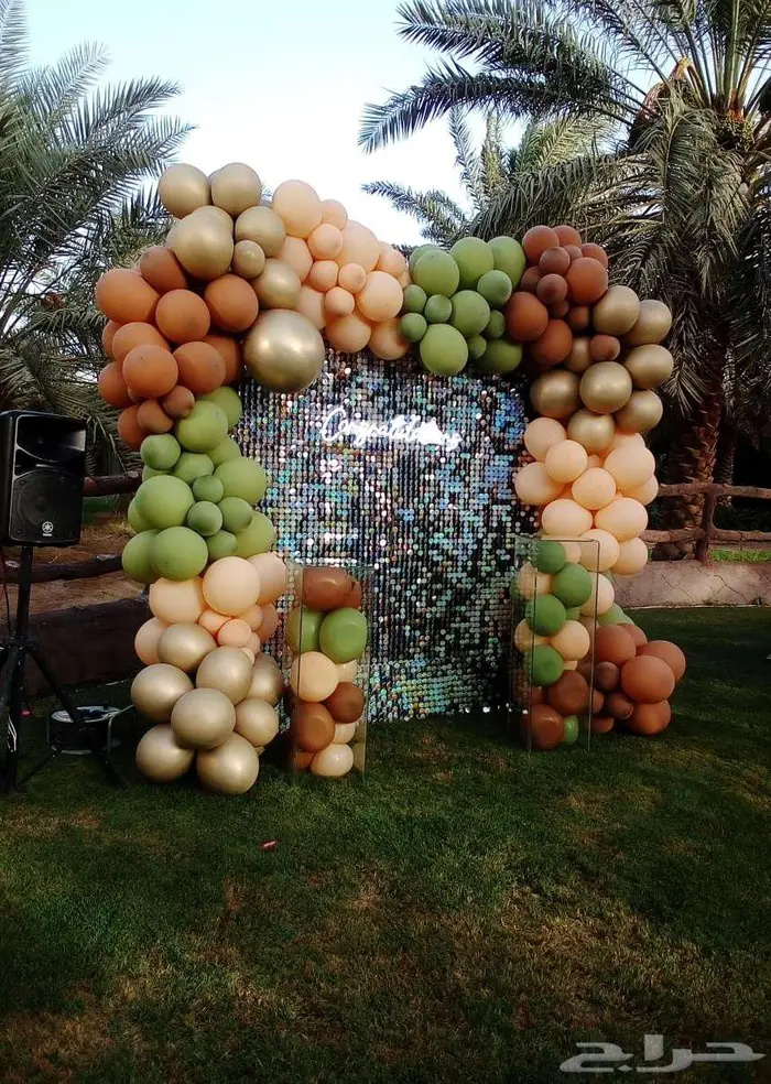 عيد ميلاد كوش مدخل زواج 2