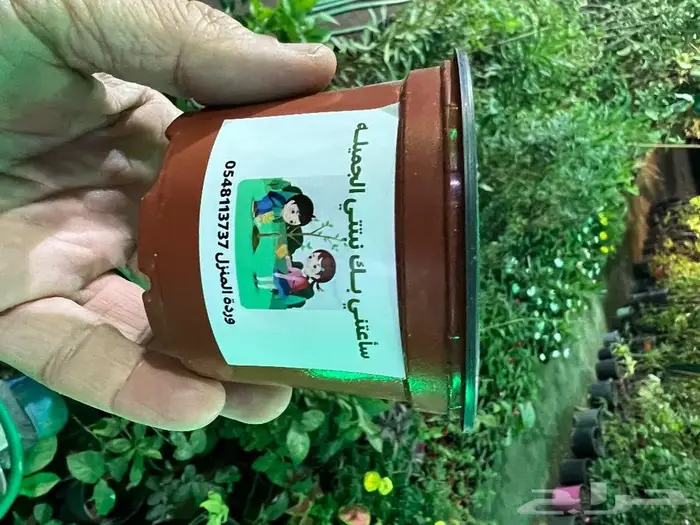 المنطقة الشرقية 26