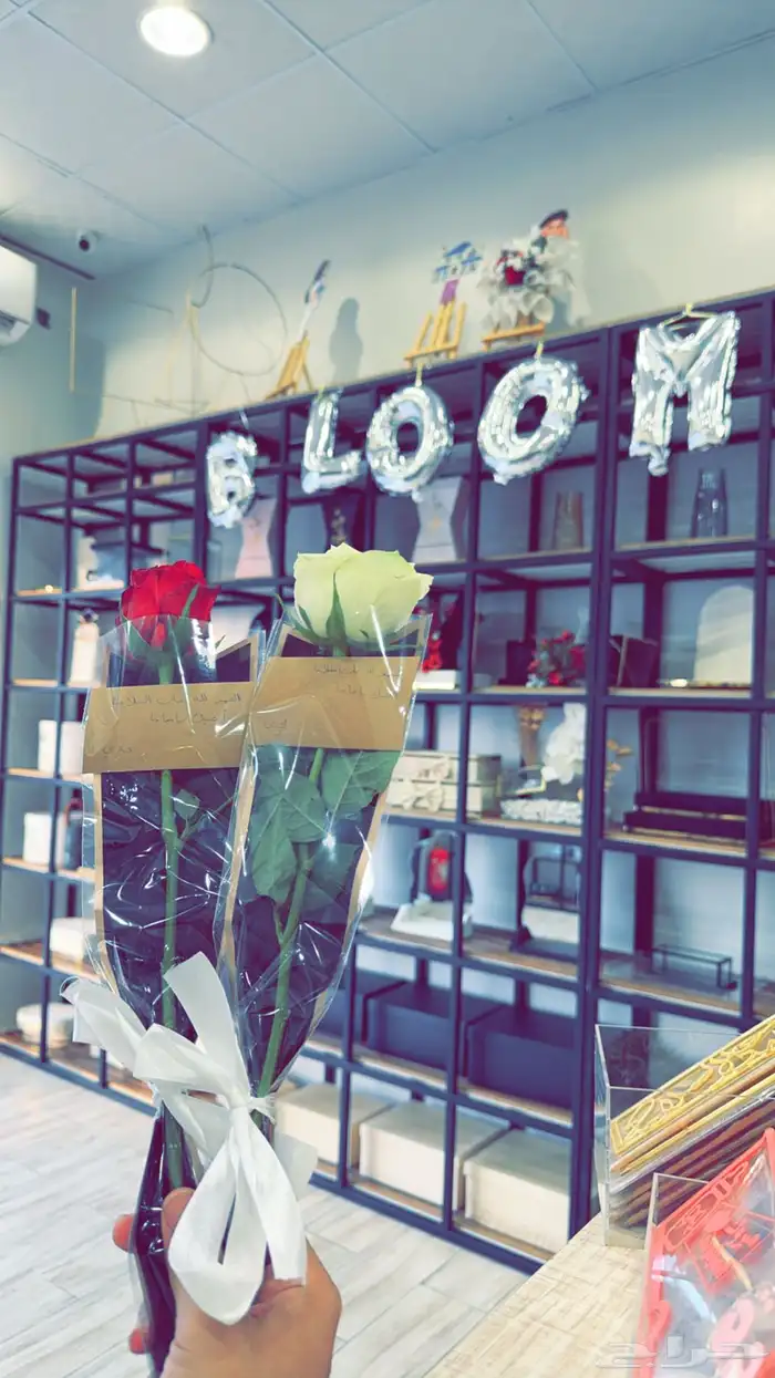 باقات ورد متعددة 14