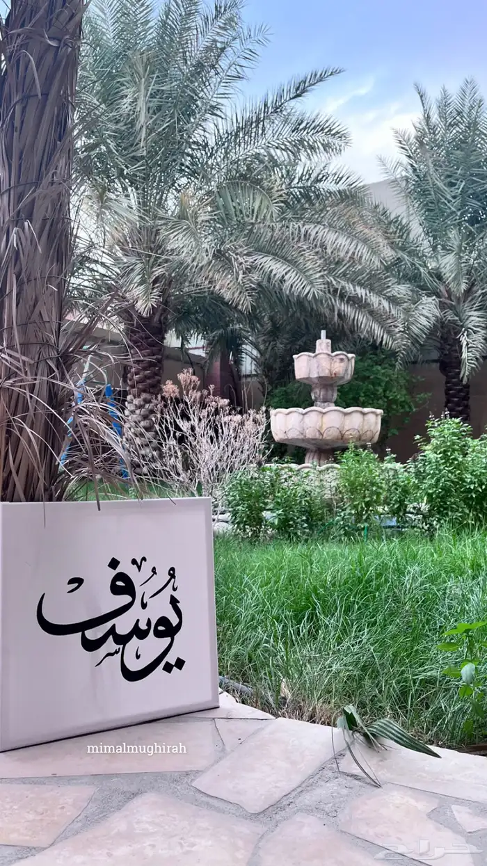 أحتاج محل بالهفوف أو المبرز شارع تجاري 30