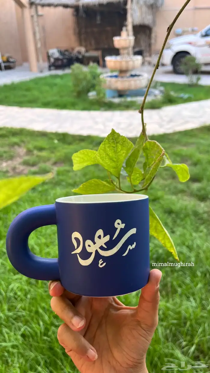 أحتاج محل بالهفوف أو المبرز شارع تجاري 27