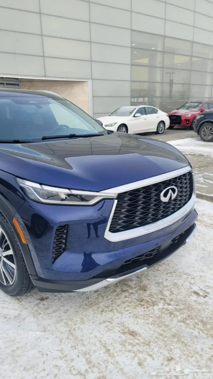 إنفينيتي QX60 2023 سنسري 8