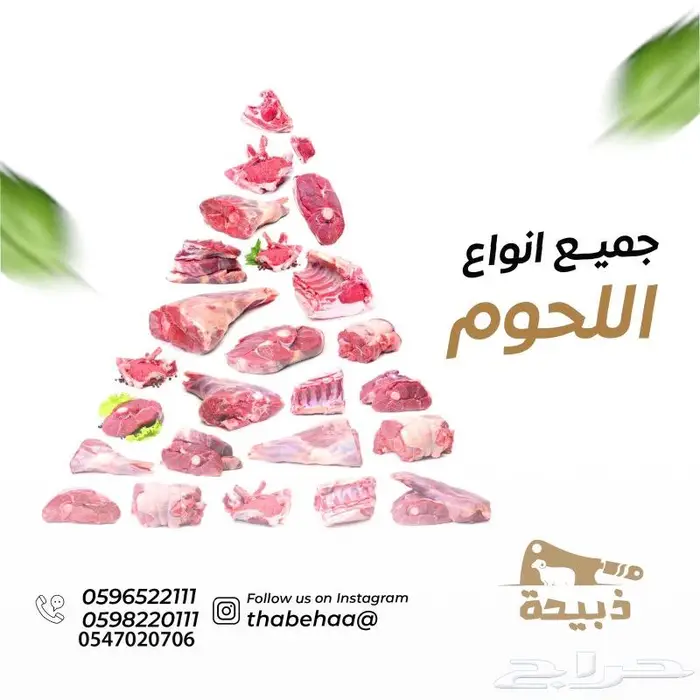 متجر ذبيحة تابي وتمارا 31