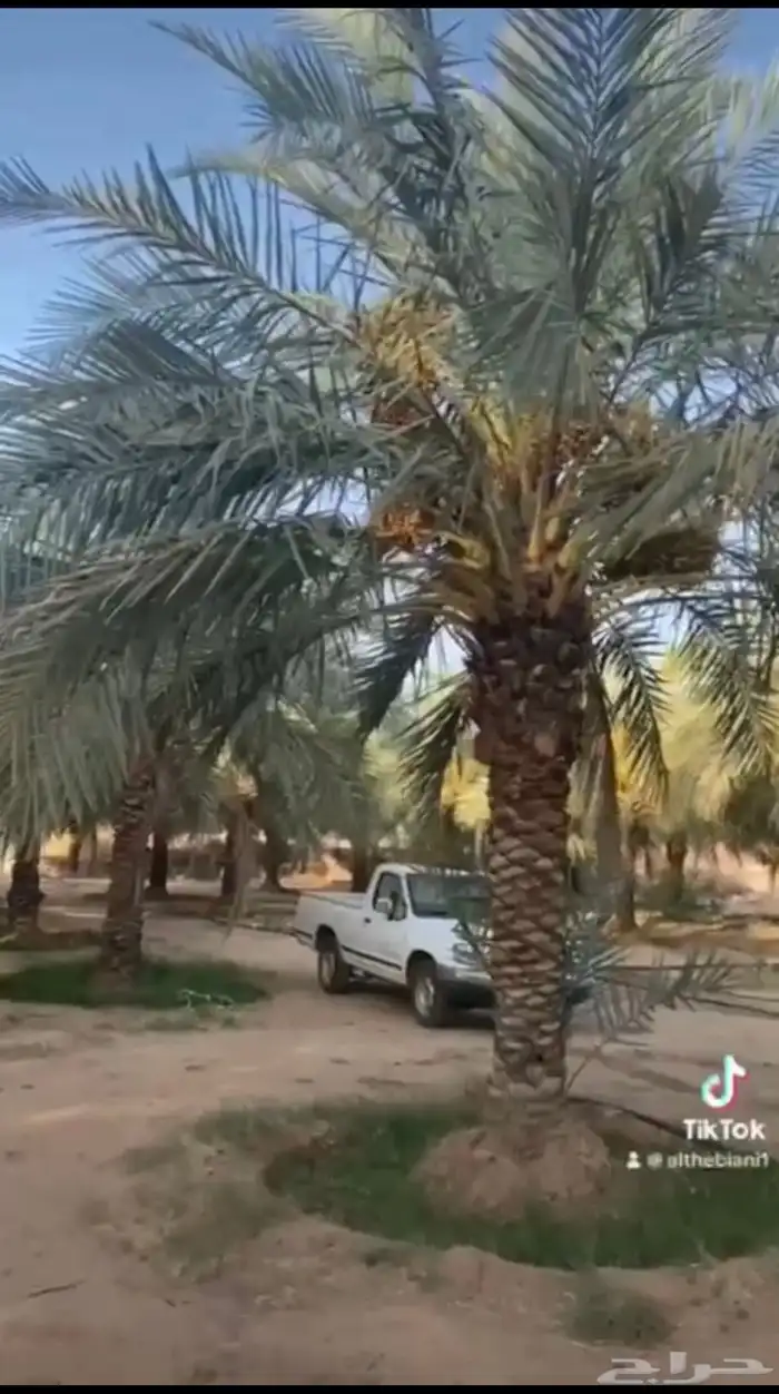 مزرعة كبيرة للبيع 2