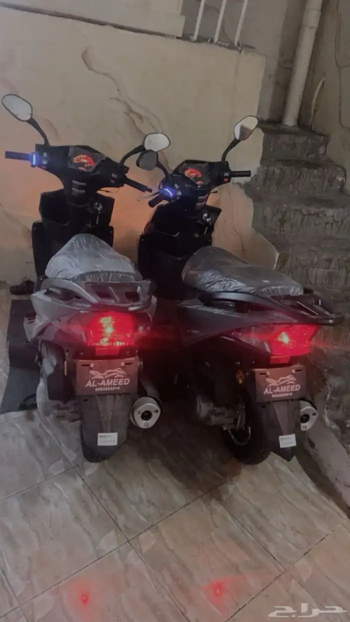 عجيب العميد 2024 0