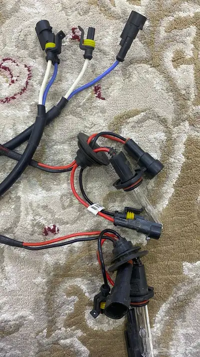 زنن محولات مع لمنبات 3