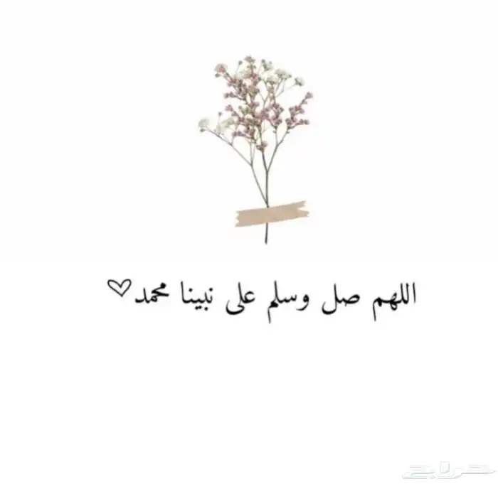 مقاول قرميد هناكر مستودعات 15