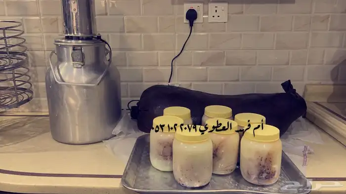 سمن غنم وزبده غنم للبيع 4